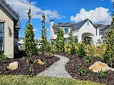 White Landscape Design photo 3