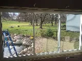 Wonder Windows
