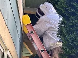 Alpine Pest Control LTD photo 7