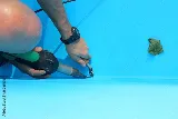 EverReady Pool Services photo 7