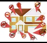 Paisley Ann's Pest Management photo 7