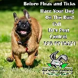 DJ's Pest Control photo 5