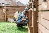 Insight Pest Control - Vancouver photo 2