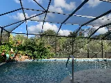 Tropical Pools and Pavers photo 6