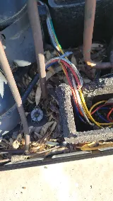 Bulwark Exterminating photo 5