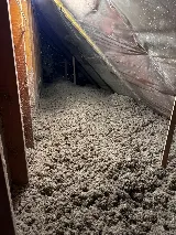 A.P. Pest Control photo 7