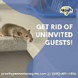 Priority Pest & Mosquito Solutions photo 6