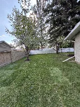LVM Landscaping photo 6