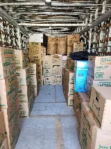 Crosley Family Moving LLC photo 3
