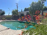 Aloha Desert Pool Service of Gilbert photo 4