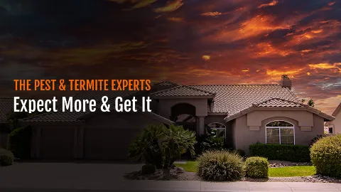 Yuma Pest & Termite Systems photo 1