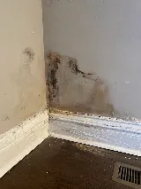 Irish Construction photo 3