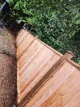 Fahed Landscaping Services Ltd photo 6