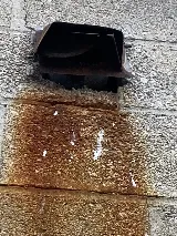 Pestend Pest Control London photo 5