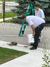 Orkin Canada Pest Control photo 7