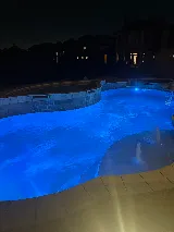 Palm Tree Pool Service photo 3