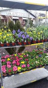Roots Nursery & Landscape photo 3