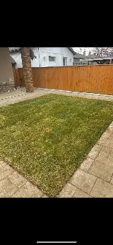 Mikes Sod & Landscape photo 4