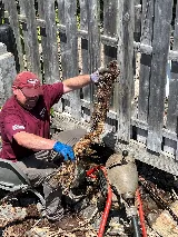 Wischmeyer's Plumbing Plus photo 7