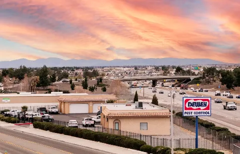 Dewey Pest & Termite Control in Apple Valley