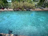 Kissimmee Neighborhood Pool Service photo 8