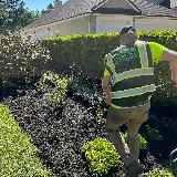 ProGreen Services photo 6