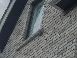 Pestigo Pest Control Toronto photo 7