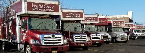 White Glove Moving & Storage photo 1