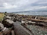 Campbell River Hot Tubs photo 5