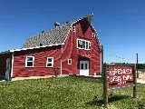 J & J Repairs & Roofing LLC photo 8