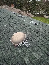 Kia pestcontrol&wildlife removal