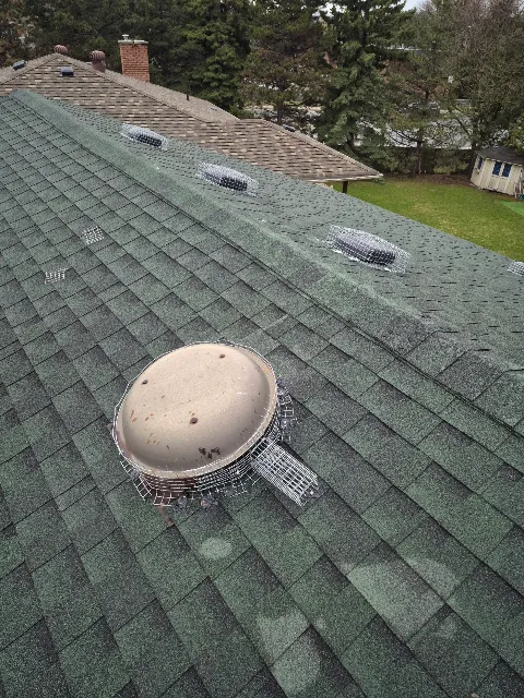 Kia pestcontrol&wildlife removal photo 1