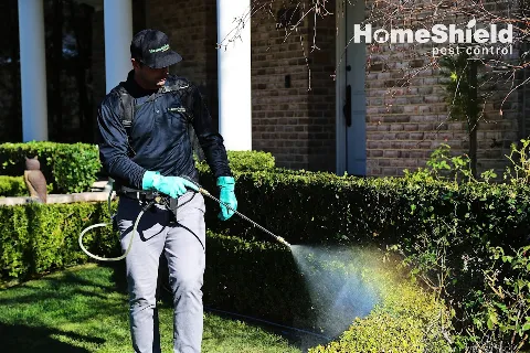 HomeShield Pest Control photo 1