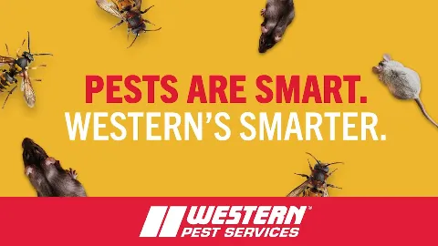 Western Pest Services in Atlantic City