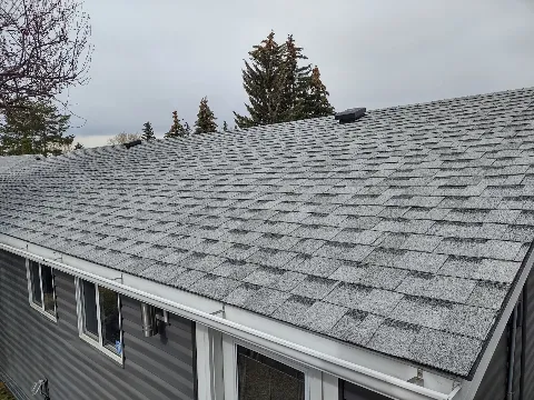 City Boss Residential Roofing photo 1