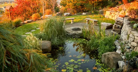 Blessing Landscapes photo 1