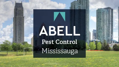 Abell Pest Control photo 1
