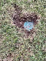 Billiot Pest Control photo 4