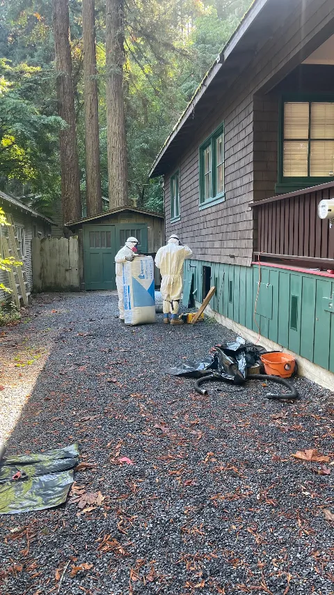 We Care Pest Solutions photo 1
