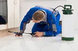 Chase Pest Control photo 2
