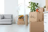 Great Little Moving Company photo 8