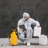 My Pest Exterminator photo 4