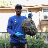 Insight Pest Solutions photo 4