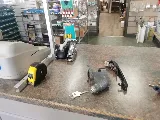 Ottawa Key Shop photo 3