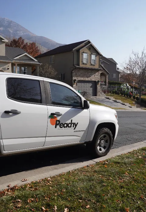 Peachy Pest Control in Draper