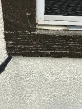 Southland Pest Control photo 8