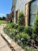 Green Creek Landscape & Irrigation, LLC