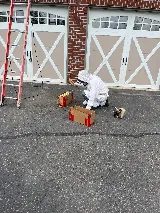 Fast Pest Control - Oakville photo 2