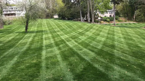 CMG Landscaping photo 1