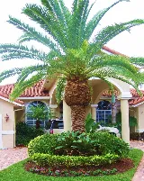 Pink and Green Lawn Care and Landscape photo 8